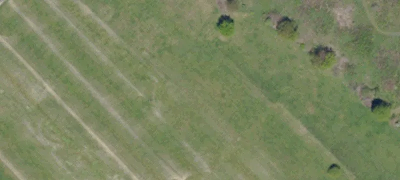 Rt 981