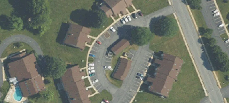 Black Oak Dr