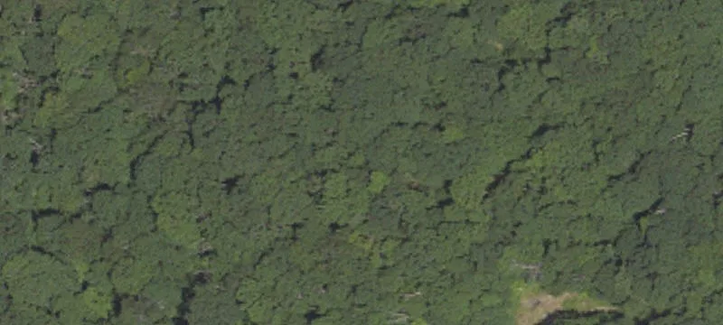 Boswell, PA 15531