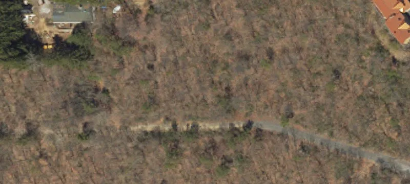 Birch Ln