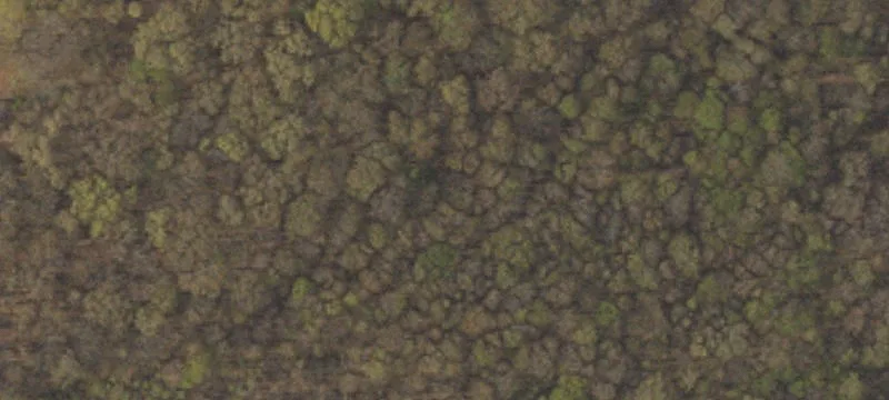 Nuangola Rd