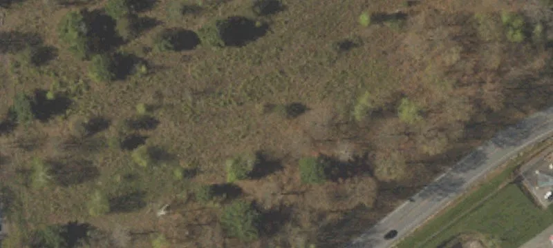 Rte 309