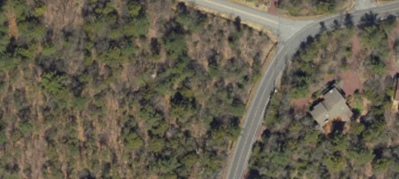 Woodland Ave
