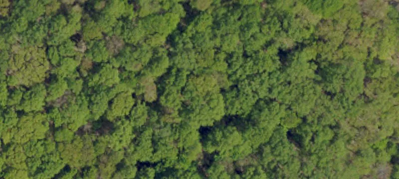 Ohiopyle, PA 15470