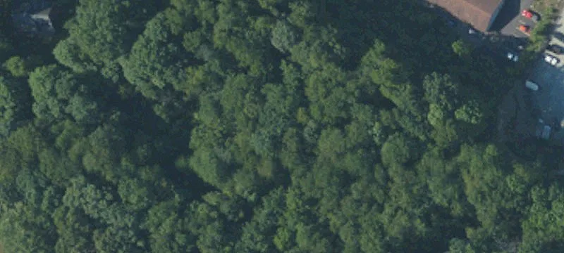Rte 910