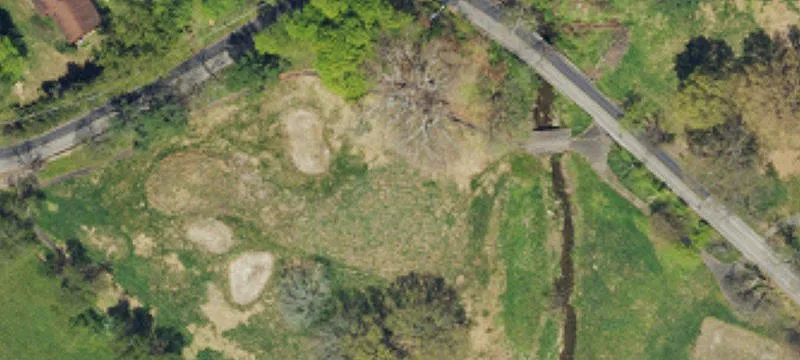 Buck Rd