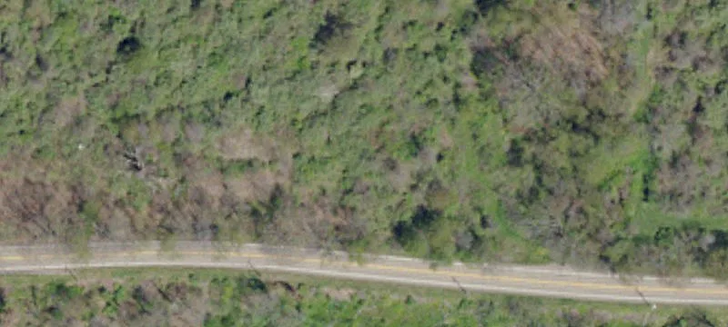 Boggs Rd