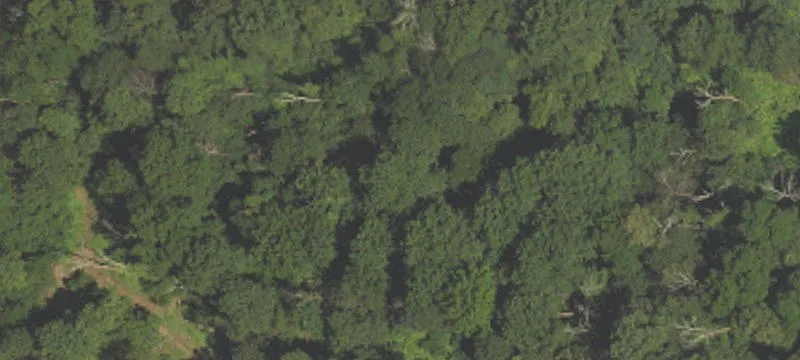201 Cushion Peak Rd