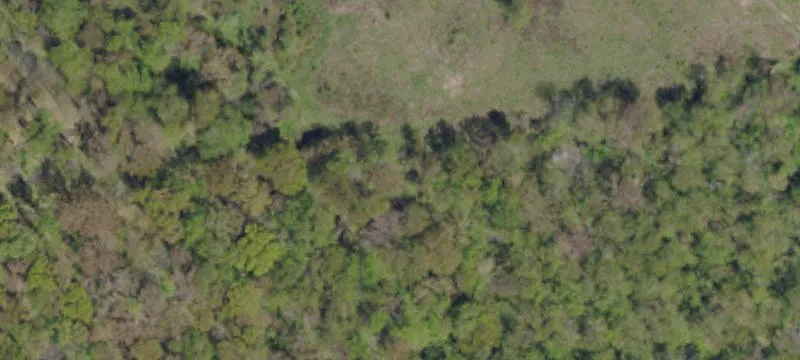 Pfeffer Rd