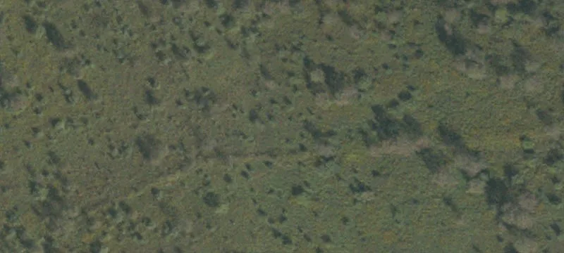 Shaw Mines Rd