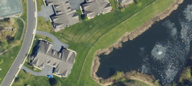 1 Rockcress Way