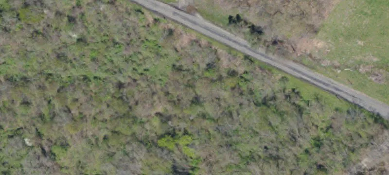 Mcwreath Rd
