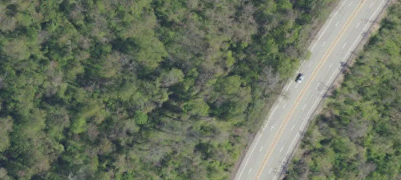 Mt Pleasant Rd