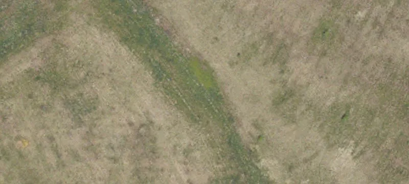 Plank Rd