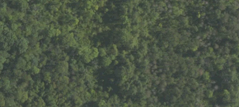 2709 Rte 764
