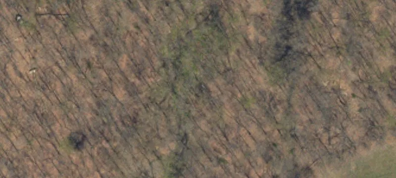 Old Allentown Rd