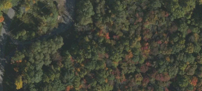 Zehner Rd