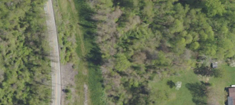 Oak Dr