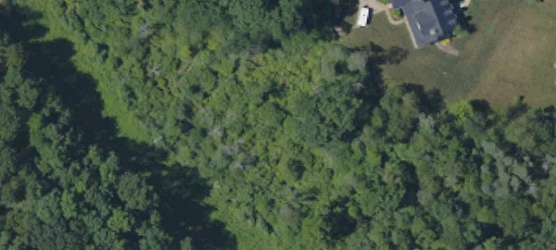 Dickey Rd