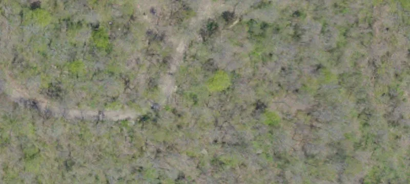 Little Mingo Rd