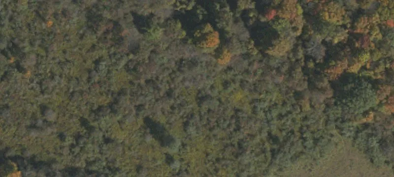 3218 Mt Davis Rd
