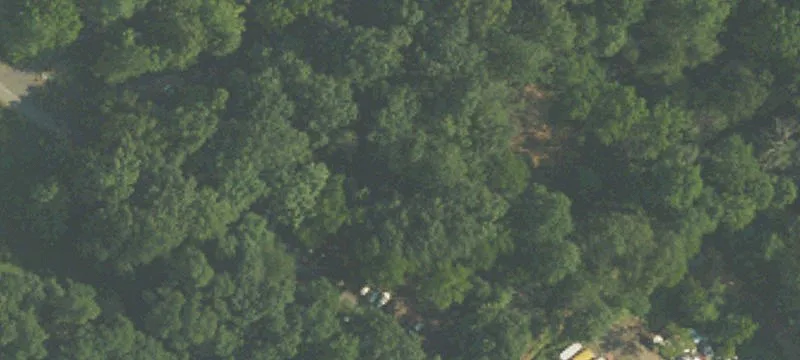 53 Walnuttown Rd