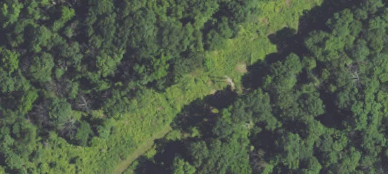 Rte 562