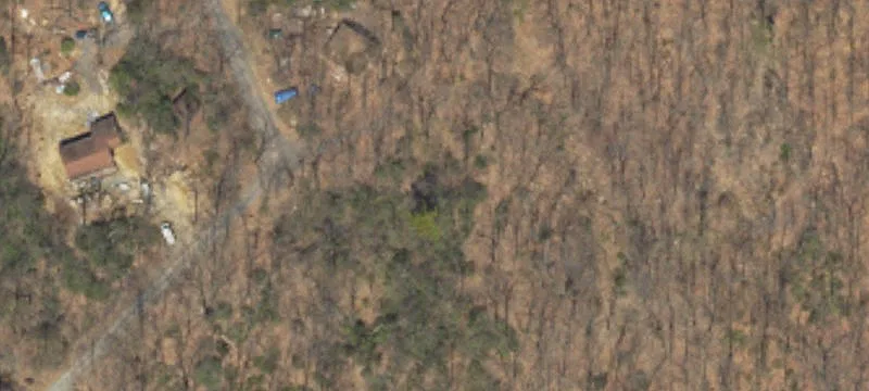 Williams Rd