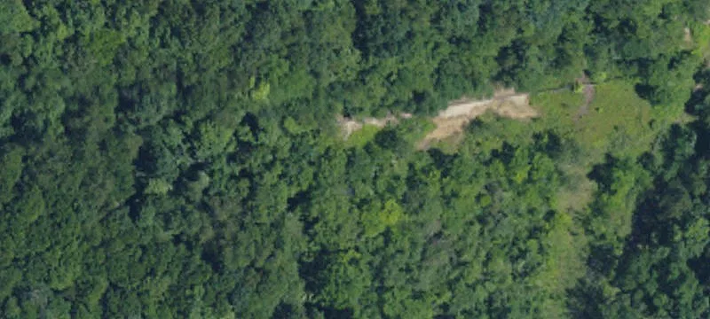 Baileys Run Rd