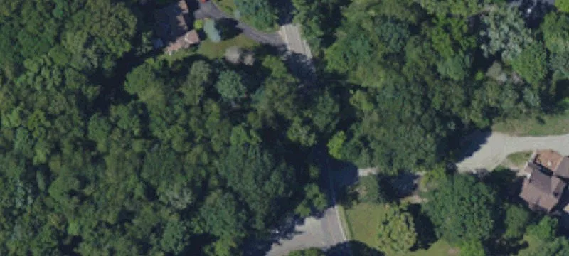 Rosanna Dr