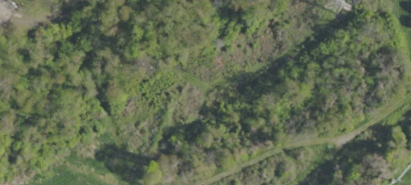 Thompson Run Rd