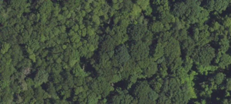 Corsica, PA 15829