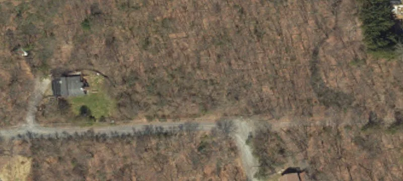 Birch Ln