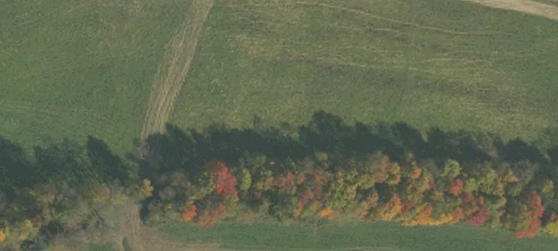 Beaver Dm Rd