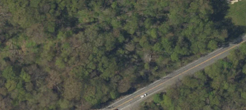 Middle Rd