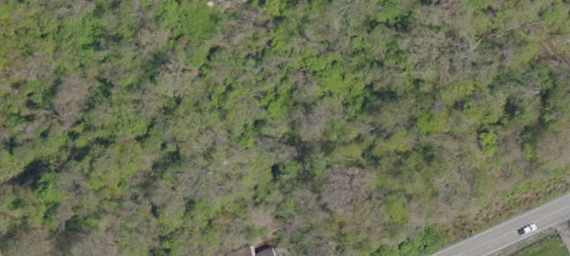 Crooked Run Rd