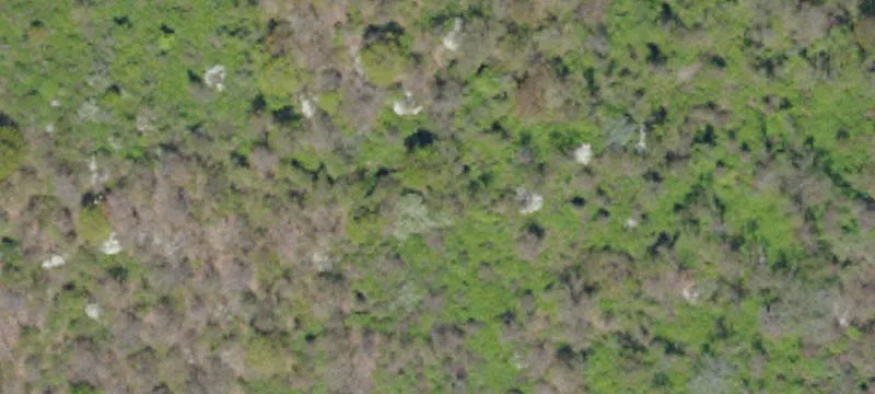Hirshinger Rd
