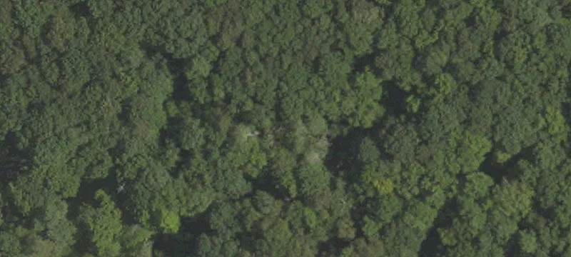 Fairway Rd