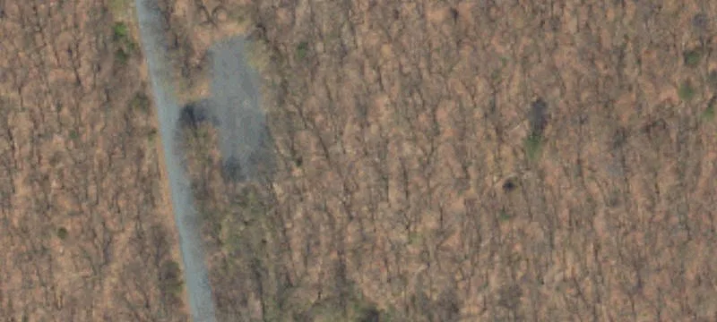 Smith Gap Rd