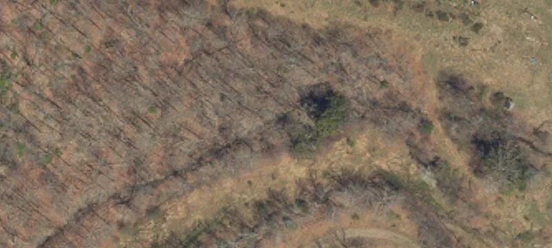 253 Broken Ski Rd