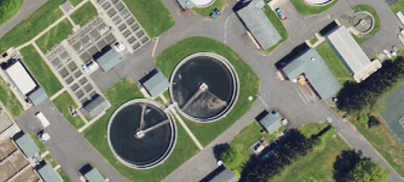 Log College Dr