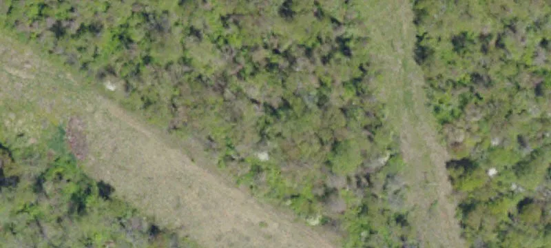 1000 Swsw Dr