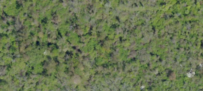Robinson Run Rd