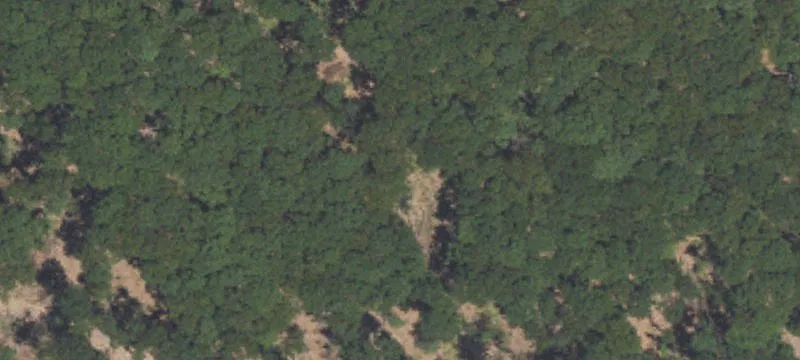 Phillips Rd
