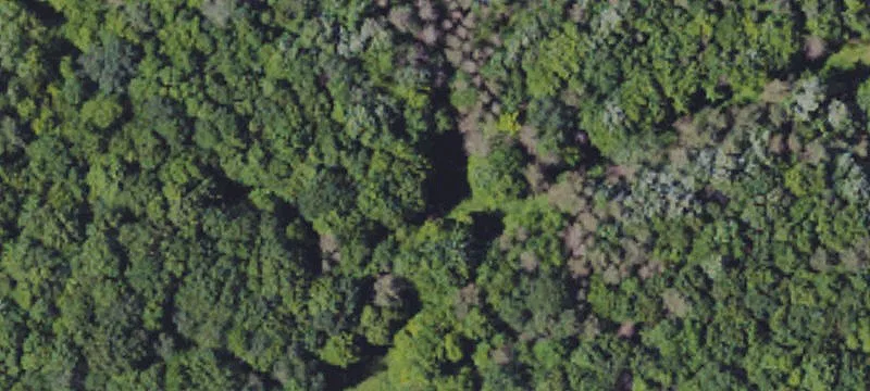 Sugar Grove, PA 16350