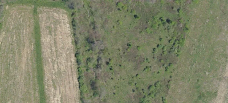 Blank Denmark Mnr Rd