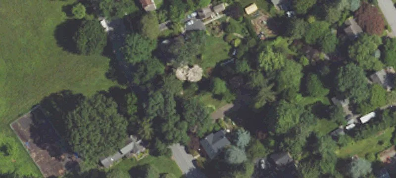 Elmwood Dr