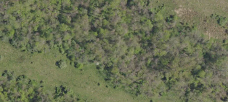 Lovedale Rd