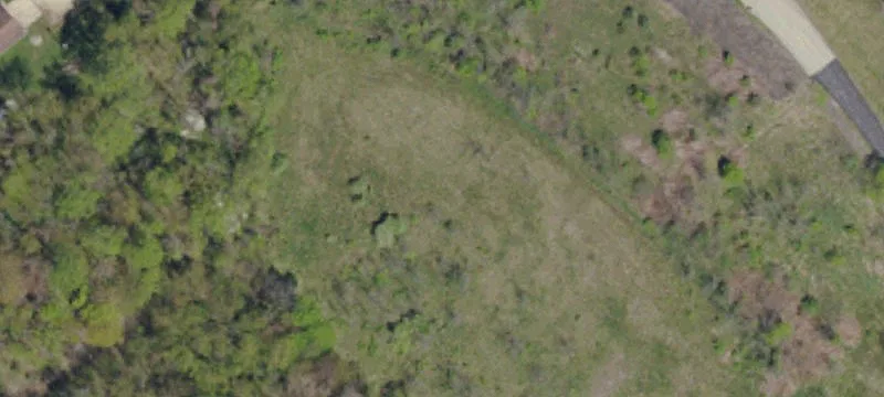 Kohosek Rd