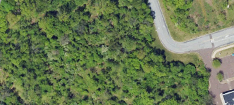 Lewis Rd